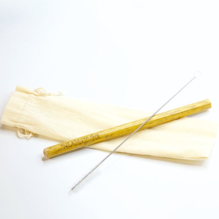 Popote de Bambú con cepillo y funda