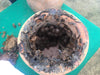 Miel de abejas Meliponas 100ml - La Nature